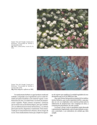 203
Fuente: Foto de H Joseph. Cortesía de L
Robineau. Universidad de Antillas y
Guyana/enda-caribe.
Fig. 13.3. Catharanthus roseus (L.) G.
Don.
Fuente: Foto de H Joseph. Cortesía de L
Robineau. Universidad de Antillas y
Guyana/enda-caribe.
Fig. 13.4. Indigofera suffruticosa Mill.
Un medicamento herbario es aquel producto medicinal
acabado y etiquetado cuyos ingredientes activos están for-
mados por partes de plantas u otro material vegetal, o com-
binaciones de estos, en estado bruto o en forma de prepara-
ciones vegetales. Puede contener excipientes, sustancias
que no tienen una acción farmacológica, pero que contribu-
yen a la elaboración de la forma farmacéutica, y se utilizan
para la prevención, diagnóstico o tratamiento. Está caracte-
rizado por el conocimiento de la eficacia y de los riesgos de
su uso. Estos medicamentos tienen que cumplir los requisi-
tos de registro que establezca la entidad reguladora de me-
dicamentos que es el CECMED en Cuba.
Hay unas formas farmacéuticas propias de los medica-
mentos herbarios, que resulta importante definir, y que pue-
den ser a la vez empleadas como materias primas para la
elaboración de preparaciones más complejas de estos; a
continuación presentamos las más usuales.
La droga o droga cruda es una planta o parte desecada
y generalmente fragmentada o pulverizada mediante un pro-
ceso controlado y con indicadores de calidad que debe
cumplir.
 