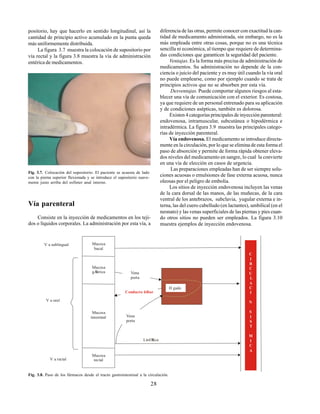 28
V a sublingual
V a oral
Mucosa
bucal
Mucosa
gÆstrica
Mucosa
intestinal
Mucosa
rectal
Vena
porta
Vena
porta
Conducto biliar
V a rectal
LinfÆtica
C
I
R
C
U
L
A
C
I
N
S
I
S
T
M
I
C
A
H gado
Fig. 3.8. Paso de los fármacos desde el tracto gastrointestinal a la circulación.
positorio, hay que hacerlo en sentido longitudinal, así la
cantidad de principio activo acumulado en la punta queda
más uniformemente distribuida.
La figura 3.7 muestra la colocación de supositorio por
vía rectal y la figura 3.8 muestra la vía de administración
entérica de medicamentos.
Fig. 3.7. Colocación del supositorio. El paciente se acuesta de lado
con la pierna superior flexionada y se introduce el supositorio suave-
mente justo arriba del esfínter anal interno.
Vía parenteral
Consiste en la inyección de medicamentos en los teji-
dos o líquidos corporales. La administración por esta vía, a
diferencia de las otras, permite conocer con exactitud la can-
tidad de medicamento administrada, sin embargo, no es la
más empleada entre otras cosas, porque no es una técnica
sencilla ni económica, al tiempo que requiere de determina-
das condiciones que garanticen la seguridad del paciente.
Ventajas. Es la forma más precisa de administración de
medicamentos. Su administración no depende de la con-
ciencia o juicio del paciente y es muy útil cuando la vía oral
no puede emplearse, como por ejemplo cuando se trata de
principios activos que no se absorben por esta vía.
Desventajas. Puede comportar algunos riesgos al esta-
blecer una vía de comunicación con el exterior. Es costosa,
ya que requiere de un personal entrenado para su aplicación
y de condiciones asépticas, también es dolorosa.
Existen 4 categorías principales de inyección parenteral:
endovenosa, intramuscular, subcutánea o hipodérmica e
intradérmica. La figura 3.9 muestra las principales catego-
rías de inyección parenteral.
Vía endovenosa. El medicamento se introduce directa-
mente en la circulación, por lo que se elimina de esta forma el
paso de absorción y permite de forma rápida obtener eleva-
dos niveles del medicamento en sangre, lo cual la convierte
en una vía de elección en casos de urgencia.
Las preparaciones empleadas han de ser siempre solu-
ciones acuosas o emulsiones de fase externa acuosa, nunca
oleosas por el peligro de embolia.
Los sitios de inyección endovenosa incluyen las venas
de la cara dorsal de las manos, de las muñecas, de la cara
ventral de los antebrazos, subclavia, yugular externa e in-
terna, las del cuero cabelludo (en lactantes), umbilical (en el
neonato) y las venas superficiales de las piernas y pies cuan-
do otros sitios no pueden ser empleados. La figura 3.10
muestra ejemplos de inyección endovenosa.
 