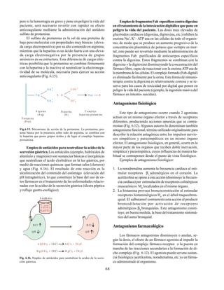 68
pero si la hemorragia es grave y pone en peligro la vida del
paciente, será necesario revertir con rapidez su efecto
anticoagulante mediante la administración del antídoto
sulfato de protamina.
El sulfato de protamina es la sal de una proteína de
bajo peso molecular con propiedades muy básicas (eleva-
da carga electropositiva) por su alto contenido en arginina;
mientras que la heparina es un ácido fuerte con una eleva-
da carga electronegativa por la presencia de grupos
aniónicos en su estructura. Esta diferencia de cargas eléc-
tricas posibilita que la protamina se combine firmemente
con la heparina y la inactive al neutralizar la electronega-
tividad de su molécula, necesaria para ejercer su acción
anticoagulante (Fig. 6.15).
A rg H Prot H
A rginina
(A rg)
Protam ina
(Prot)
H eparina
(H )
C om plejo
heparina-protam ina
N H 3
+
N H 3
+
SO 3
-
C OO
-
+
Fig.6.15. Mecanismo de acción de la protamina. La protamina, pro-
teína básica por la presencia sobre todo de arginina, se combina con
la heparina que posee grupos ácidos y da lugar al complejo heparina-
protamina.
Empleo de antiácidos para neutralizar la acidez de la
secreción gástrica.Los antiácidos (ejemplo, hidróxidos de
aluminio y magnesio) son sustancias básicas e inorgánicas
que neutralizan el ácido clorhídrico en la luz gástrica, por
medio de reacciones químicas que forman sales (cloruros)
y agua (Fig. 6.16). El resultado de esta reacción es la
alcalinización del contenido del estómago (elevación del
pH intragástrico), lo que constituye la base del uso de es-
tos fármacos en el tratamiento de las enfermedades relacio-
nadas con la acidez de la secreción gástrica (úlcera péptica
y reflujo gastro-esofágico).
A l(O H )3
M g(O H )2
A ntiÆc idos
H Cl
(pH )
H Cl
(pH )
A l(O H ) A lC l + 3H O
M g(O H ) M gC l + 2H O
3 3 2
2 2 2
+ 3H Cl
+ 2H Cl
Fig. 6.16. Empleo de antiácidos para neutralizar la acidez de la secre-
ción gástrica.
EmpleodefragmentosFab específicoscontradigoxina
en el tratamiento de la intoxicación digitálica que pone en
peligro la vida del paciente. Las dosis muy elevadas de
glucósidos cardíacos (digoxina, digitoxina, etc.) inhiben la
enzima Na+
, K+
- ATP asa en las células de todo el organis-
mo, de modo que se produce un aumento progresivo de la
concentración plasmática de potasio que siempre es mor-
tal; esto puede ser revertido mediante la administración de
fragmentos Fab purificados de anticuerpos específicos
contra la digoxina. Estos fragmentos se combinan con la
digoxina y la digitoxina disminuyendo la concentración del
fármaco libre, capaz de reaccionar con la enzima ATP asa de
lamembranadelascélulas.Elcomplejoformado(Fab-digital)
es eliminado fácilmente por la orina. Esta forma de inmuno-
terapia contra la digoxina es relativamente costosa y se re-
serva para los casos de toxicidad por digital que ponen en
peligro la vida del paciente (ejemplo, la ingestión masiva del
fármaco en intentos suicidas).
Antagonismo fisiológico
Este tipo de antagonismo ocurre cuando 2 agonistas
actúan en un mismo órgano efector a través de receptores
diferentes, produciendo acciones opuestas que se contra-
rrestan (Fig. 6.12). Algunos autores lo denominan también
antagonismo funcional, término utilizado originalmente para
describir la relación antagónica entre los impulsos nervio-
sos simpáticos y parasimpáticos en un mismo órgano
efector. El antagonismo fisiológico, en general, ocurre en la
mayor parte de los órganos que reciben doble inervación,
simpática y parasimpática, cuyas influencias de manera ha-
bitual se contraponen desde el punto de vista fisiológico.
Ejemplos de antagonismo fisiológico:
1. La noradrenalina aumenta la frecuencia cardíaca al esti-
mular receptores β1
adrenérgicos en el corazón. La
acetilcolina se opone a esta acción (disminuye la frecuen-
cia cardíaca) por estimulación de receptores colinérgicos
muscarínicos M2
localizados en el mismo órgano.
2. La histamina provoca broncoconstricción al estimular
receptores histaminérgicos H1
en el árbol traqueobron-
quial. El salbutamol contrarresta esta acción al producir
broncodilatación por activación de receptores
adrenérgicos β2
bronquiales. Este antagonismo consti-
tuye, en buena medida, la base del tratamiento sintomá-
tico del asma bronquial.
Antagonismo farmacológico
Los fármacos antagonistas disminuyen o anulan, se-
gún la dosis, el efecto de un fármaco agonista al impedir la
formación del complejo fármaco-receptor o la puesta en
marcha de las reacciones secundarias a la formación de di-
cho complejo (Fig. 6.12). El agonista puede ser una sustan-
cia fisiológica (acetilcolina, noradrenalina, etc.) o un fárma-
co administrado al organismo.
 