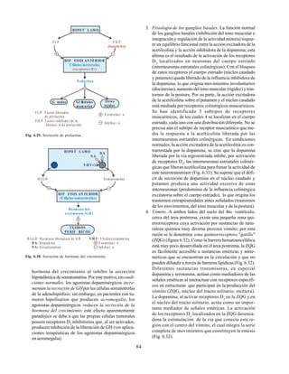 84
FL P FIL P
(dopamina)
Prolactina
HIPO T` LAM O
G nadas GlÆndulas
mam arias
Otro s
tejidos
HIP FISIS AN TER IO R
C Ølula s lactotrofas
(receptores D2 )
FL P: Factor liberador
de pro lactina
FIL P: Fa ctor inhibido r de la
libera ci n de prolactina
E stim u laci n
Inhibici n
Fig. 6.29. Secreción de prolactina.
H LG H Som atosta tina
Ho rm ona del
crecimiento (GH )
HIPO T` LAM O
HIP FISIS AN TE RIOR
(C Ølulas somatotrofas)
TEJID OS
PERIF RIC OS
5-H T
N A
D A
H LG H : Horm ona liberad ora de G H
D opam ina
N orad renalina
D A:
N A:
5-H T: 5-hidroxitriptam ina
E stim ulaci n
Inhibici n
Fig. 6.30. Secreción de hormona del crecimiento.
hormona del crecimiento al inhibir la secreción
hipotalámica de somatostatina. Por este motivo, encondi-
ciones normales, los agonistas dopaminérgicos incre-
mentan la secreción de GHpor las células somatotrofas
de la adenohipófisis; sin embargo, en pacientes con tu-
mores hipofisarios que producen acromegalia, los
agonistas dopaminérgicos reducen la secreción de la
hormona del crecimiento; este efecto aparentemente
paradójico se debe a que las propias células tumorales
poseen receptores D2
inhibitorios que, al ser activados,
producen inhibición de la liberación de GH (ver aplica-
ciones terapéuticas de los agonistas dopaminérgicos
en acromegalia).
3. Fisiología de los ganglios basales. La función normal
de los ganglios basales (inhibición del tono muscular e
integración y regulación de la actividad motora) requie-
re un equilibrio funcional entre la acción excitadora de la
acetilcolina y la acción inhibidora de la dopamina; esta
última es el resultado de la activación de los receptores
D2
localizados en neuronas del cuerpo estriado
(interneuronas estriatales colinérgicas). Con el bloqueo
de estos receptores el cuerpo estriado (núcleo caudado
y putamen) queda liberado de la influencia inhibidora de
la dopamina, lo que origina movimientos involuntarios
(discinesias), aumento del tono muscular (rigidez) y tras-
tornos de la postura. Por su parte, la acción excitadora
de la acetilcolina sobre el putamen y el núcleo caudado
está mediada por receptores colinérgicos muscarínicos.
Se han identificado 5 subtipos de receptores
muscarínicos, de los cuales 4 se localizan en el cuerpo
estriado, cada uno con una distribución diferente. No se
precisa aún el subtipo de receptor muscarínico que me-
dia la respuesta a la acelticolina liberada por las
interneuronas estriatales colinérgicas. En condiciones
normales, la acción excitadora de la acetilcolina es con-
trarrestada por la dopamina; se cree que la dopamina
liberada por la vía nigroestriada inhibe, por activación
de receptores D2
, las interneuronas estriatales colinér-
gicas que liberan acetilcolina para frenar la actividad de
este neurotransmisor (Fig. 6.31). Se supone que el défi-
cit de secreción de dopamina en el núcleo caudado y
putamen produzca una actividad excesiva de estas
interneuronas (predominio de la influencia colinérgica
excitatoria sobre el cuerpo estriado), lo que origina los
trastornos extrapiramidales antes señalados (trastornos
de los movimientos, del tono muscular y de la postura).
4. Vómito. A ambos lados del suelo del 4to. ventrículo,
cerca del área postrema, existe una pequeña zona qui-
miorreceptora cuya activación por sustancias de natu-
raleza química muy diversa provoca vómito; por esta
razón se le denomina zona quimiorreceptora "gatillo"
(ZQG) (figura 6.32). Como la barrera hematoencefálica
está muy poco desarrollada en el área postrema, la ZQG
es fácilmente accesible a sustancias eméticas y antie-
méticas que se encuentran en la circulación y que no
pueden difundir a través de barreras lipídicas (Fig. 6.32).
Diferentes sustancias transmisoras, en especial
dopamina y serotonina, actúan como mediadores de las
señales eméticas al interactuar con receptores específi-
cos en estructuras que participan en la producción del
vómito (ZQG, núcleo del tracto solitario, etcétera).
La dopamina, al activar receptores D2
en la ZQG y en
el núcleo del tracto solitario, actúa como un impor-
tante mediador de señales eméticas. La activación
de los receptores D2
localizados en la ZQG desenca-
dena la estimulación de la vía que conecta esta re-
gión con el centro del vómito, el cual integra la serie
completa de movimientos que constituyen la emesis
(Fig. 6.32).
 