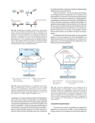 89
Prodopam inØrgicos
A ntico linØrg icos
a b
c d
D AA C
D AA C
D A
A C
D AA C D A
Fig. 6.35. Fisiopatología del síndrome de Parkinson y modo general
de acción de los fármacos antiparkinsonianos. a) Condiciones fisio-
lógicas. Equilibrio funcional entre los efectos excitadores de la
acetilcolina y los efectos inhibidores de la dopamina. b) Síndrome de
Parkinson. La disminución de los niveles de dopamina ocasiona un
predominio colinérgico excitatorio (estado hipodopaminérgico-
hipercolinérgico). c) y d) Reestablecimiento del equilibrio funcional.
Este se logra mediante fármacos que reducen la actividad colinérgica
(agentes anticolinérgicos) o de fármacos que incrementan la activi-
dad dopaminérgica (agentes prodopaminérgicos).
A gon istas
dopam inØrgicos
( )BRO M OC R IPTIN AH LG H Som a tostatin a
H ipersecreci n de horm ona
del c recim ie nto (G H )
HIPO T` LA MO
5-H T
N A
D A
A CR OM EG ALIA
HIP FISIS A NTERIOR
Tumor h ipofisario
(receptores D2)
H LG H : Ho rm o na lib eradora de GH
D opam ina
N ora drenalina
D A:
N A:
5-H T: 5-hidroxitripta m in a
E stim u laci n
Inh ibic i n
Fig. 6.36. Agonistas dopaminérgicos en el tratamiento de la acrome-
galia. La bromocriptina, al activar receptores D2
en las células
tumorales de la adenohipófisis, disminuye - la secreción de GH y
mejora las manifestaciones clínicas que caracterizan a esta enferme-
dad (reducción del espesor de las partes blandas en las manos y los
pies, mejoría de los rasgos faciales acromegálicos, etc.).
A gon istas
dopam inØrgicos
( )BRO M OC R IPTIN A
H ipersecreci n
de prolactina
HIPER PRO LA CTINEM IA
HIPO T` LA MO
FL P FIL P
( )dopamina
A ntagonistas
dopam inØrgicos
( )A NTIPSIC TICO S
HIP FISIS A NTERIOR
Tumor h ipofisario
(receptores D2)
An tagonism o FL P: Facto r liberado r de prolactina
FIL P: Factor inhibidor de la liberaci n
de prolactina
E stim ulaci n
Inhibici n
Fig. 6.37. Agonistas dopaminérgicos en el tratamiento de la
hiperprolactinemia. La bromocriptina, al activar receptores D2
en
las células tumorales de la adenohipófisis, disminuye - la secreción de
prolactina y mejora las manifestaciones clínicas que caracterizan a
estos tumores (prolactinomas). Los fármacos antipsicóticos, al blo-
quear los receptores D2
en la adenohipófisis, incrementan la secre-
ción de prolactina (hiperprolactinemia funcional) y antagonizan el
efecto terapéutico de la bromocriptina en la hiperprolactinemia de
origen tumoral.
radioterapia o la cirugía (extirpación del tumor hipofisiario),
pero en los casos en que la cirugía falla o no está indicada,
la secreción de la hormona del crecimiento puede suprimirse
con agonistas dopaminérgicos como la bromocriptina. Este
efecto es paradójico, ya que los agonistas dopaminérgicos
incrementan la secreción de GH en individuos normales, y
quizás se deba al posible origen de las células tumorales a
partir de células troncales del propio tumor que, al igual que
las células lactotrofas, expresan la regulación dopaminérgica
inhibitoria de la secreción de GH.
Hiperprolactinemia. Una de las causas más frecuen-
tes de hipersecreción de prolactina son los tumores de la
adenohipófisis, secretores de esta hormona (prolactinomas).
A menudo evolucionan con galactorrea e hipogonadismo,
acompañados de alteraciones menstruales, infertilidad mas-
culina y femenina, impotencia y reducción de la libido. Los
agonistas dopaminérgicos (bromocriptina) son los fármacos
de elección en el tratamiento de los microprolactinomas. En
los macroprolactinomas estos fármacos sirven como tera-
péutica coadyuvante a la cirugía, ya que pueden transfor-
mar un tumor invasivo en un tumor con mayor acceso qui-
rúrgico.
La administración de bromocriptina en estos pacientes
produce, al activar receptores D2
en la adenohipófisis, un
rápido descenso del nivel de prolactina en el plasma san-
guíneo (Fig. 6.37) con desaparición de la galactorrea y nor-
malización de la función gonadal.
Antagonistas dopaminérgicos
Tratamiento del vómito. Es probable que el papel de la
dopamina en la función de la ZQG y como mediadora de
reflejos motores en el estómago sea la base para explicar el
 