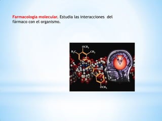Farmacología molecular. Estudia las interacciones del
fármaco con el organismo.
 