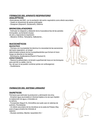 FÁRMACOS DEL APARATO RESPIRATORIO
ANALÉPTICOS
-Estimulantes del SNC, con la excitación del centro respiratório como efecto secundario.
- Usado en situaciones de apnea prolongada
- Doxapram (Dopram®, Docatone®), Efedrina
BRONCODILATADORES
- Estimulan la relajación y dilatación de la musculatura lisa de las paredes
bronquiales, aumentando el paso
de aire y mejorando la respiración.
- Albuterol, Enﬁlina, Terbutalina, Salbutamol...
MUCOCINÉTICOS
MUCOLÍTICO
- Fármaco con la propiedad de disminuir la viscosidad de las secreciones
del tracto respiratorio, al romper
determinados enlaces de los mucopolisacáridos que forman el moco
(luego se absorbe en los tejidos)
- Bromhexina, Acetilcisteína (Flumil ® Fluimicil ®)
EXPECTORANTE
- Reduce la adhesividad y la tensión superﬁcial del moco en los bronquios
para permitir su salida. (con la
tos, así que no se pueden combinar jamás con antitusigenos)
- Guaifenesina
FARMACOS DEL SISTEMA URINARIO
DIURETICOS
Fármacos que estimulan la produccion y eliminación de orina.
- Arrastran agua acumulada en diversos tejidos a la vez que impiden
la reabsorción de agua y minerales en
la nefrona.
- Furosemida (Seguril ®), Aminoﬁlina (se suele usar en edemas de
pulmón), Flumetiazida
- Un efecto secundario de los diureticos es la caida de Potasio (Na),
pues el agua arrastra los minerals al
exterior)
- Diuresis osmótica. Manitol, Isosorbitol (IV) !
 
