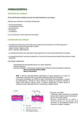 FARMACOCINÉTICA
ABSORCION DEL FÁRMACO
Paso del fármaco desde el punto de administración a la sangre.
Factores que intervienen en el tiempo de absorción:
- Via de administración
- La cantidad de fármaco
- Los excipientes
- El individuo
- La Sustancia
La via intravenosa no tiene absorción (es directa)
DISTRIBUCIÓN DEL FÁRMACO
- La distribución del fármaco dentro del cuerpo puede variar de acuerdo con el ﬂujo sanguíneo o
vascularización regional de cada tejido u organo.
(rápido: corazón, higado y riñon)
(lento: músculos, tejido adiposo)
- La cantidad de fármaco que cada tejido reciba depende de la concentración del fármaco en sangre.
- La magnitiud del efecto varía por la velocidad con la que el fármaco penetra al tejido hasta alcanzar niveles
suﬁcientes.
FACTORES LIMITANTES
- Liposubilidad (los hidrosolubles tienen una mayor absorcion)
- Enlace a proteínas
- Barreras ﬁsiológicas : són barreras vasculares que diﬁcultan el paso de distintas sustáncias.
- Barrera Hematoencefálica (BHE)
- Barrera Placentária
! BHE: la Barrera Hematoencefálica desempeña un papel regulador en el paso de
sustancias y nutrientes entre la circulación sistémica (general) y el encéfalo.
Las celulas endoteliales de la BHE se hallan intimamente interconectadas, y carecen
de fenestraciones. Permite en forma selectiva la entrada de sustancia nutritivas y
vitales como glucosa, algunos iones, y oxígeno, bloqueando al mismo tiempo la
entrada de otras sustancias tóxicas o nocivas para el tejido cerebral
Funciones de la BHE
- Protección contra infecciones y sustancias
tóxicas (pero tampoco pasan anticuerpos!)
- El virus de la rabia si pasa!
- Muchos medicamentos no pasan =
administración de sustancias que
aumentan la permeabilidad capilar de la
zona para conseguir traspasar.
 