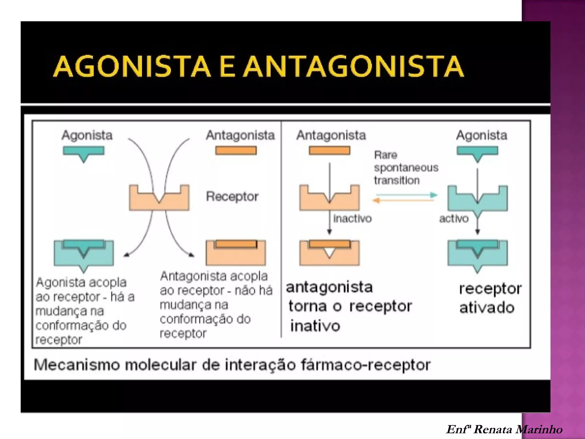 Enfª Renata Marinho
 