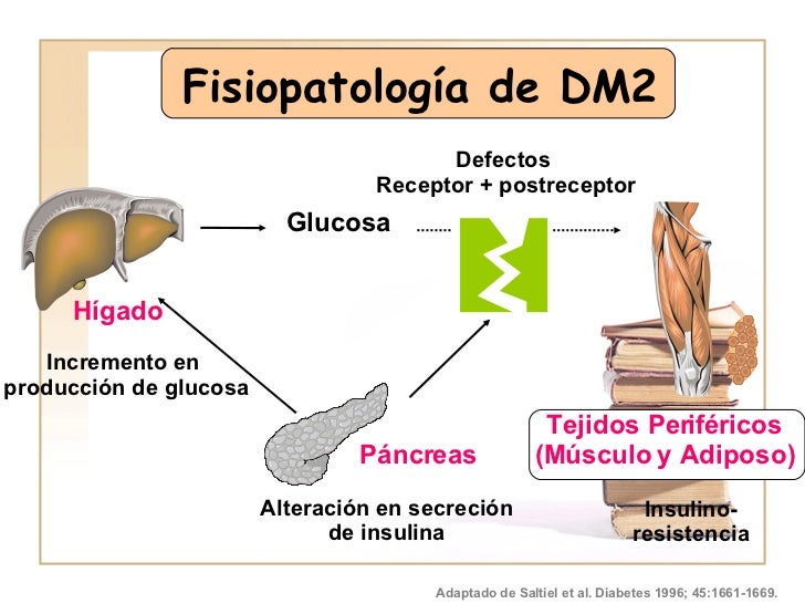 Farmacologia De La Diabetes Farmacologia De La Diabetes