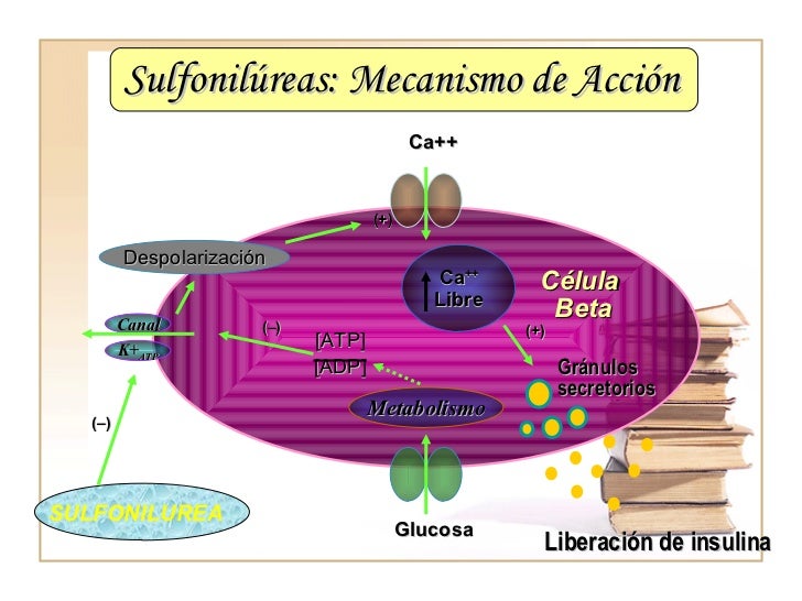 Farmacologia De La Diabetes Farmacologia De La Diabetes