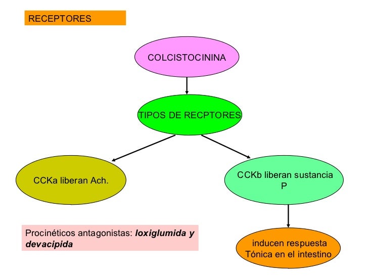 Farmacologia De La Motilidad Intes. 9 1 08 Farmacologia De La Motilidad Intes. 9 1 08