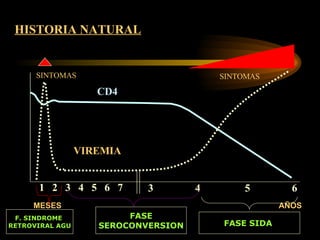 HISTORIA NATURAL SINTOMAS SINTOMAS CD4 VIREMIA MESES  AÑOS 1  2  3  4  5  6  7   3  4  5  6  F. SINDROME  RETROVIRAL AGU FASE SEROCONVERSION FASE SIDA   