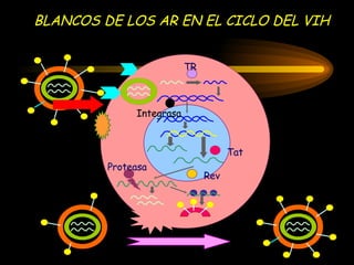 BLANCOS DE LOS AR EN EL CICLO DEL VIH TR Tat Rev Proteasa VIH CD4 CCR5 CXCR4 Integrasa 
