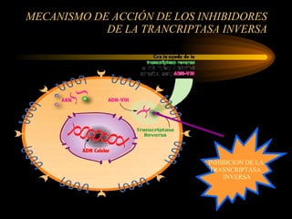 MECANISMO DE ACCIÓN DE LOS INHIBIDORES DE LA TRANCRIPTASA INVERSA INHIBICION DE LA  TRASNCRIPTASA  INVERSA 