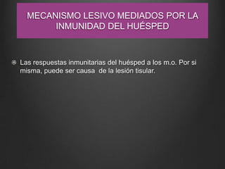 MECANISMO LESIVO MEDIADOS POR LA
INMUNIDAD DEL HUÉSPED

Las respuestas inmunitarias del huésped a los m.o. Por si
misma, puede ser causa de la lesión tisular.

 