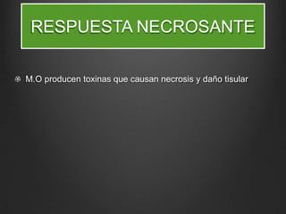 RESPUESTA NECROSANTE
M.O producen toxinas que causan necrosis y daño tisular

 