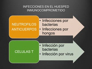 INFECCIONES EN EL HUESPED
INMUNOCOMPROMETIDO

• Infecciones por
NEUTROFILOS
bacterias
ANTICUERPOS • Infecciones por
hongos

CELULAS T

• Infección por
bacterias
• Infección por virus

 