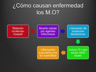 ¿Cómo causan enfermedad
los M.O?
Relación
virulenciahusped

Muerte celular
por agentes
infecciosos

Liberación de
productos
bacterianos

Inflamación
supurativa rica
en nuetrófilos

Inducir R.I que
cause daño
tisular

 