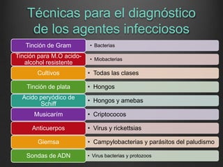 Técnicas para el diagnóstico
de los agentes infecciosos
Tinción de Gram

Tinción para M.O acidoalcohol resistente
Cultivos
Tinción de plata
Acido peryódico de
Schiff
Musicarím
Anticuerpos
Giemsa
Sondas de ADN

• Bacterias
• Miobacterias

• Todas las clases
• Hongos
• Hongos y amebas
• Criptococos
• Virus y rickettsias
• Campylobacterias y parásitos del paludismo
• Virus bacterias y protozoos

 