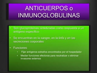 ANTICUERPOS o
INMUNOGLOBULINAS

 