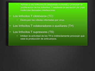 •

Activan a los linfocitos B (respuesta humoral) y provocan la
proliferación de los linfocitos T mediante la secreción de unas
moléculas llamadas interleucinas.

• Los linfocitos T citotóxicos (TC)
•

Destruyen las células infectadas por virus.

• Los linfocitos T colaboradores o auxiliares (TH)
• Los linfocitos T supresores (TS)
•

Inhiben la actividad de los TH e indirectamente provocan que
cese la producción de anticuerpos.

 