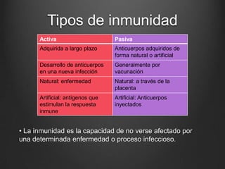 Tipos de inmunidad
Activa

Pasiva

Adquirida a largo plazo

Anticuerpos adquiridos de
forma natural o artificial

Desarrollo de anticuerpos
en una nueva infección

Generalmente por
vacunación

Natural: enfermedad

Natural: a través de la
placenta

Artificial: antígenos que
estimulan la respuesta
inmune

Artificial: Anticuerpos
inyectados

• La inmunidad es la capacidad de no verse afectado por
una determinada enfermedad o proceso infeccioso.

 