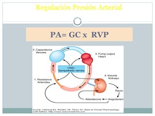 Regulación Presión Arterial
2 variables fisiológicas principales
PA= GC x RVP
 