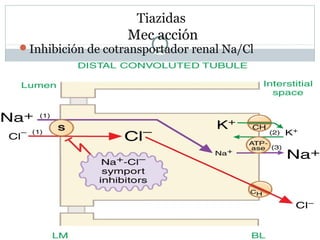Tiazidas
Mec acción
Inhibición de cotransportador renal Na/Cl
 