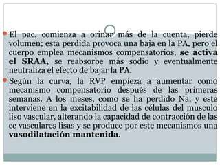 El pac. comienza a orinar más de la cuenta, pierde
volumen; esta perdida provoca una baja en la PA, pero el
cuerpo emplea mecanismos compensatorios, se activa
el SRAA, se reabsorbe más sodio y eventualmente
neutraliza el efecto de bajar la PA.
Según la curva, la RVP empieza a aumentar como
mecanismo compensatorio después de las primeras
semanas. A los meses, como se ha perdido Na, y este
interviene en la excitabilidad de las células del musculo
liso vascular, alterando la capacidad de contracción de las
cc vasculares lisas y se produce por este mecanismos una
vasodilatación mantenida.
 