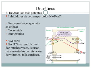 Diuréticos
B. De Asa: Los más potentes
Inhibidores de cotransportador Na-K-2Cl
o Furosemida ( el que más
se utiliza)
o Torsemida
o Bumetanida
VM corta
En HTA se tendría que
dar muchas veces. Se usan
más en estados de retención
de volumen, falla cardiaca…
 