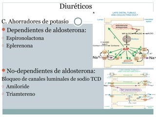 Diuréticos
C. Ahorradores de potasio
Dependientes de aldosterona:
o Espironolactona
o Eplerenona
No-dependientes de aldosterona:
Bloqueo de canales luminales de sodio TCD
o Amiloride
o Triamtereno
 