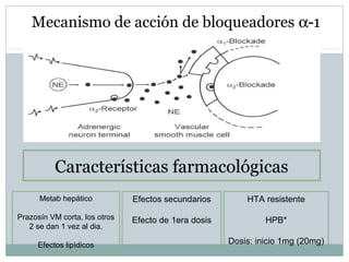 Mecanismo de acción de bloqueadores α-1
Características farmacológicasCaracterísticas farmacológicas
Metab hepático
Prazosín VM corta, los otros
2 se dan 1 vez al dia.
Efectos lipìdicos
Efectos secundarios
Efecto de 1era dosis
HTA resistente
HPB*
Dosis: inicio 1mg (20mg)
 