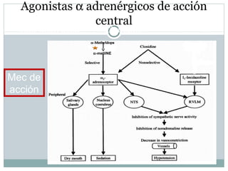 Agonistas α adrenérgicos de acción
central
Alfa-metil dopa Clonidina
Mec de
acción
α-metilNE
 