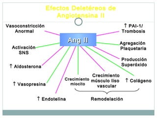 VasoconstricciónVasoconstricción
AnormalAnormal
ActivaciónActivación
SNSSNS
↑↑ AldosteronaAldosterona
↑↑ VasopresinaVasopresina
CrecimientoCrecimiento
miocitomiocito
CrecimientoCrecimiento
músculo lisomúsculo liso
vascularvascular
↑↑ ColágenoColágeno
RemodelaciónRemodelación
↑↑ PAI-1/PAI-1/
TrombosisTrombosis
AgregaciónAgregación
PlaquetariaPlaquetaria
ProducciónProducción
SuperóxidoSuperóxido
↑↑ EndotelinaEndotelina
Ang IIAng II
Efectos Deletéreos de
Angiotensina II
 