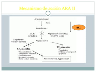 BK..
Mecanismo de acción ARA II
 