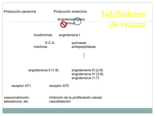 Inhibidores
de renina
Producción paracrina Producción endocrina
Angiotensinógeno
renina
bradicininas angiotensina I
E.C.A. quimasas
inactivas endopeptidasas
angiotensina II (1-8) angiotensina III (2-8)
angiotensina IV (3-8)
angiotensina (1-7)
receptor AT1 receptor AT2
vasoconstricción inhibición de la proliferación celular
aldosterona, etc. vasodilatación
 
