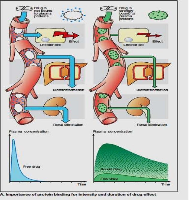 La gente también piden Cómo aumentar el metabolismo.