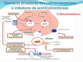 Fármacos ativadores dos colinorreceptores
e inibidores da acetilcolinesterase
Colinomiméticos
 