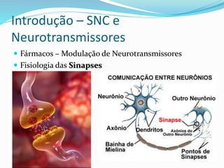 Introdução – SNC e
Neurotransmissores
 Fármacos – Modulação de Neurotransmissores
 Fisiologia das Sinapses
 