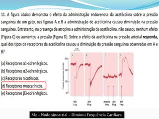 M2 – Nodo sinoatrial – Diminui Frequência Cardíaca
 