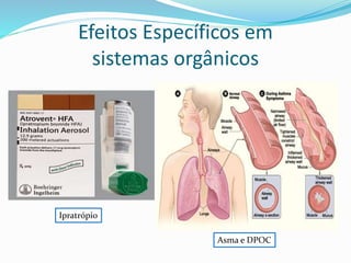 Efeitos Específicos em
sistemas orgânicos
Ipratrópio
Asma e DPOC
 