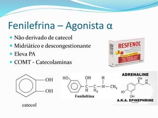 Fenilefrina – Agonista α
 Não derivado de catecol
 Midriático e descongestionante
 Eleva PA
 COMT - Catecolaminas
 