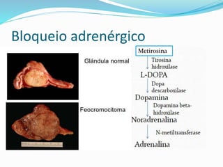Bloqueio adrenérgico
 Feocromocitoma Metirosina
 