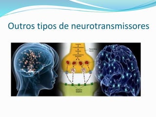 Outros tipos de neurotransmissores
 
