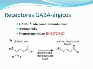 Receptores GABA-érgicos
 GABA: Ácido gama-aminobutírico
 Aminoácido
 Neurotransmissor INIBITÓRIO
 