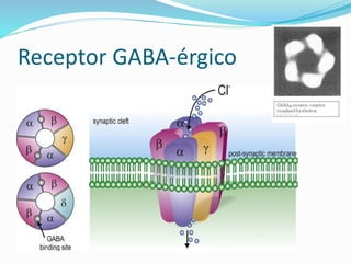 Receptor GABA-érgico
 