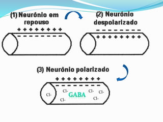 Cl-
Cl- Cl-
Cl-
Cl-
Cl-
 