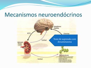 Mecanismos neuroendócrinos
Teste de supressão com
dexametasona
 