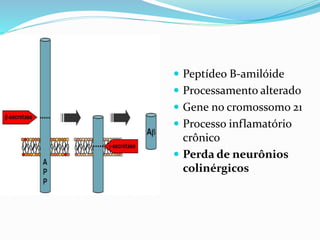  Peptídeo B-amilóide
 Processamento alterado
 Gene no cromossomo 21
 Processo inflamatório
crônico
 Perda de neurônios
colinérgicos
 