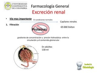 • Vía mas importante
1. Filtración
Excreción renal
Farmacología General
Capilares renales
69.000 Dalton
Proteínas
En condiciones normales
gradiente de concentración y presión hidrostática entre la
circulación y el contenido glomerular
En adultos
130 ml
 