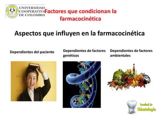 Factores que condicionan la
farmacocinética
Aspectos que influyen en la farmacocinética
Dependientes del paciente Dependientes de factores
genéticos
Dependientes de factores
ambientales
 