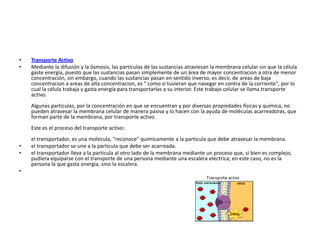 • Transporte Activo
• Mediante la difusión y la ósmosis, las partículas de las sustancias atraviesan la membrana celular sin que la célula
gaste energía, puesto que las sustancias pasan simplemente de un área de mayor concentracion a otra de menor
concentración, sin embargo, cuando las sustancias pasan en sentido inverso, es decir, de areas de baja
concentracion a areas de alta concentracion, es " como si tuvieran que navegar en contra de la corriente", por lo
cual la célula trabaja y gasta energía para transportarlas a su interior. Este trabajo celular se llama transporte
activo.
Algunas particulas, por la concentración en que se encuentran y por diversas propiedades físicas y química, no
pueden atravesar la membrana celular de manera pasiva y lo hacen con la ayuda de moléculas acarreadoras, que
forman parte de la membrana, por transporte activo.
Este es el proceso del transporte activo:
el transportador, es una molecula, "reconoce" quimicamente a la particula que debe atravesar la membrana.
• el transportador se une a la particula que debe ser acarreada.
• el transportador lleva a la particula al otro lado de la membrana mediante un proceso que, si bien es complejo,
pudiera equiparse con el transporte de una persona mediante una escalera electrica; en este caso, no es la
persona la que gasta energia, sino la escalera.
•
 