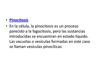 • Pinocitosis
• En la célula, la pinocitosis es un proceso
parecido a la fagocitosis, pero las sustancias
introducidas se encuentran en estado liquido.
Las vacuolas o vesiculas formadas en este caso
se llaman vesículas pinocíticas.
 